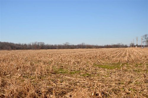Tract 1 - 339+/- Acres Offered in 10 Tracts